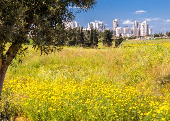 ״השקעה במתחם העתיד של רחובות והשפלה״: קרקע פרטית בטאבו בשכונה החדשה של רחובות, ׳גן הנשיא׳, ב- ₪199,000 בלבד – פוטנציאל רווח עצום!