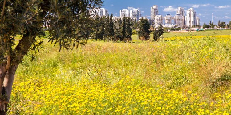 ״השקעה במתחם העתיד של רחובות והשפלה״: קרקע פרטית בטאבו בשכונה החדשה של רחובות, ׳גן הנשיא׳, ב- ₪199,000 בלבד – פוטנציאל רווח עצום!